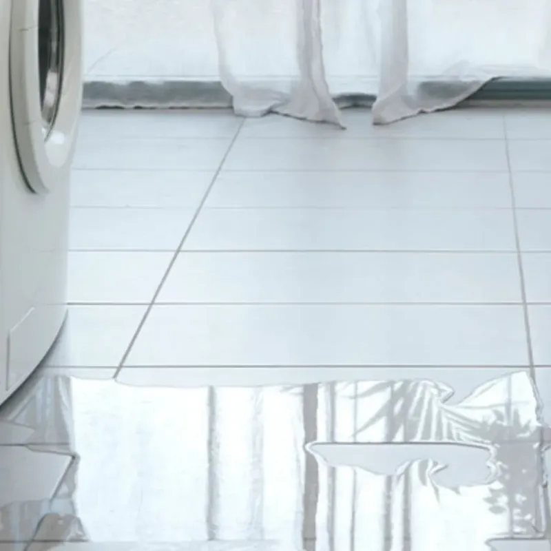 Appliance Leak Cleanup in Clifton, TN
