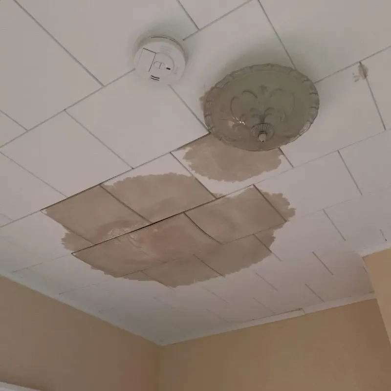 Ceiling Water Damage Repair in Clifton, TN