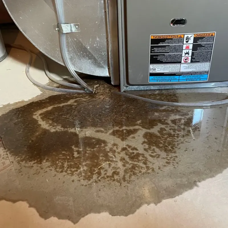 Pipe Burst and Leak Restoration in Clifton, TN