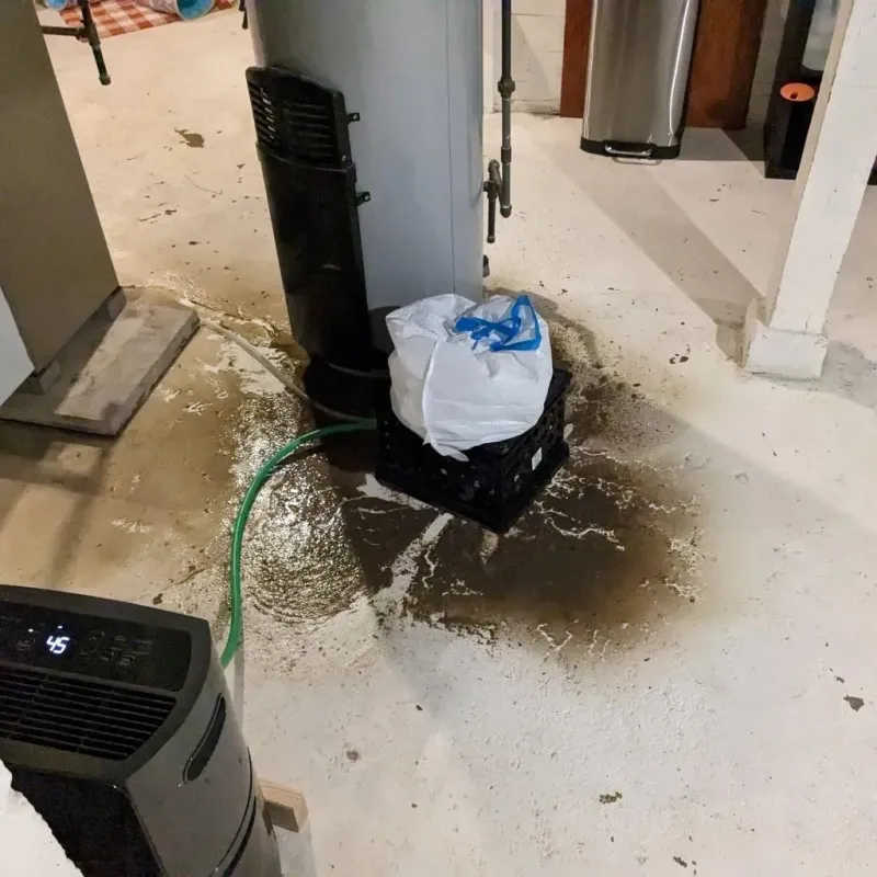 Sewage Backup Cleanup Service in Clifton, TN